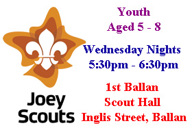 Join us and be a Joey Scout